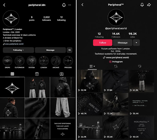 Preview of the Peripheral Instagram and TikTok profiles